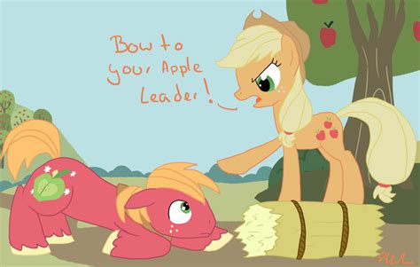 Applejack and Rarity: The Magic of Friendship in My Little Pony: Friendship is Magic